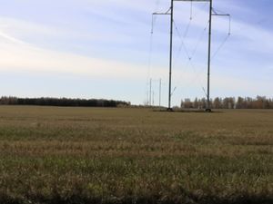 Zarinsk okrestn53.jpg