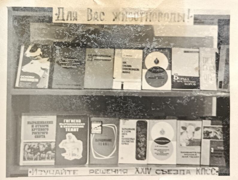 Файл:Karachel histori svid47.jpg