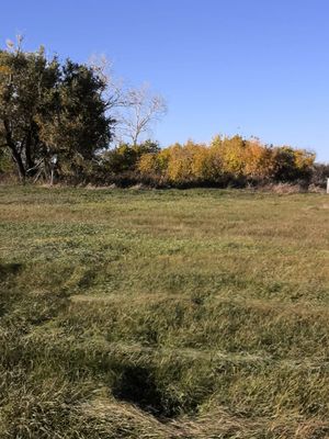 Zarinsk okrestn17.jpg