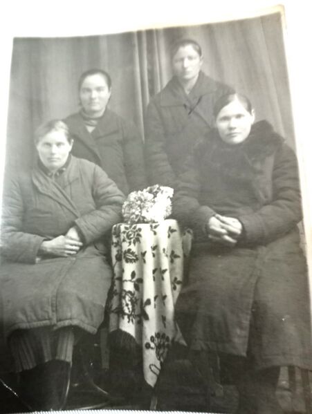 Файл:Histori-Sheino6.jpg