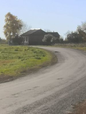 Zarinsk okrestn12.jpg