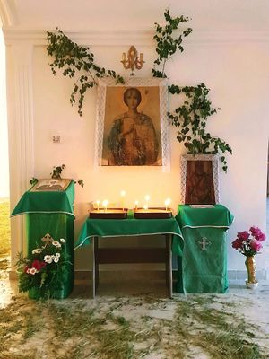 Kapach cherk 3Svetit11.jpg