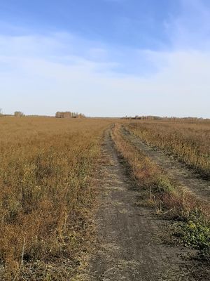 Zarinsk okrestn27.jpg