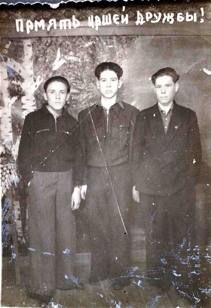 Файл:Histori-Sheino17.jpg