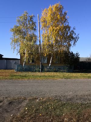 Zarinsk okrestn13.jpg