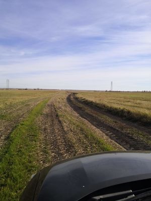 Zarinsk okrestn34.jpg