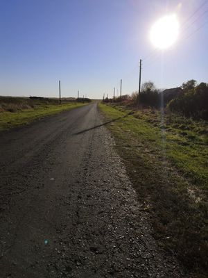 Zarinsk okrestn18.jpg