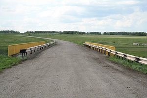 Zarinsk okrestn62.jpg