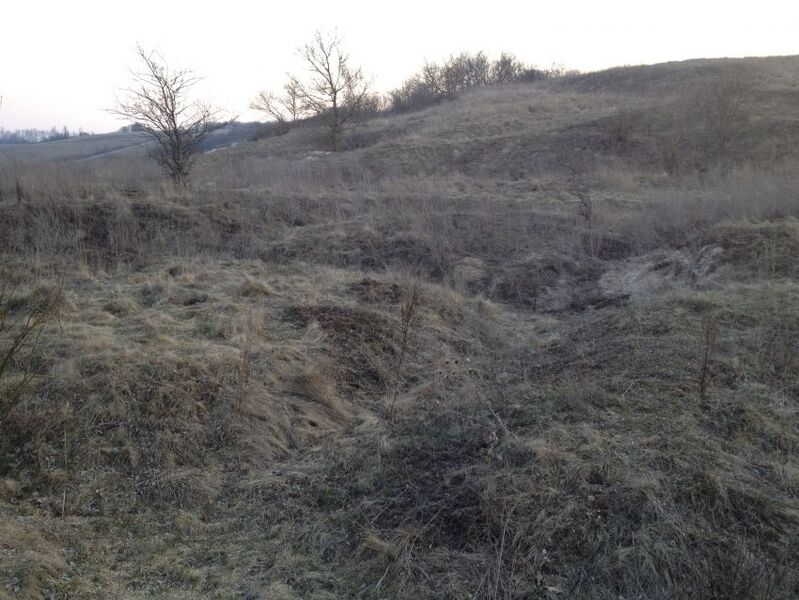 Файл:29655 20140406.jpg