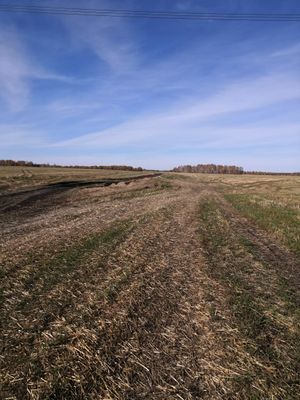 Zarinsk okrestn50.jpg