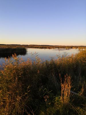 Zarinsk okrestn3.jpg